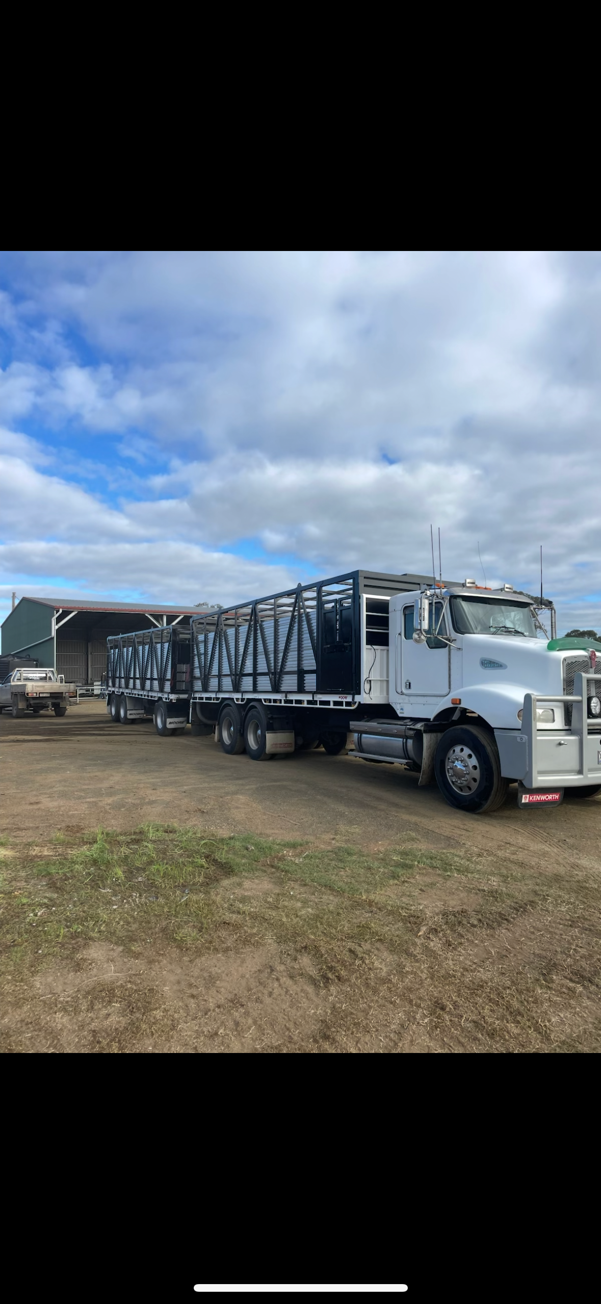 Large cattle transport truck on-site
